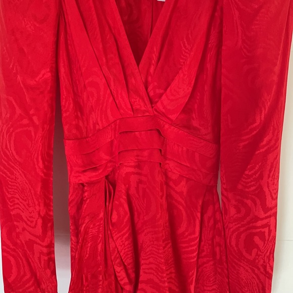 Ronny Kobo LILIAN ZEBRA MOIRÉ MINI DRESS - Picture 10 of 13